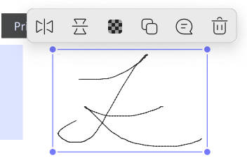copy signature image