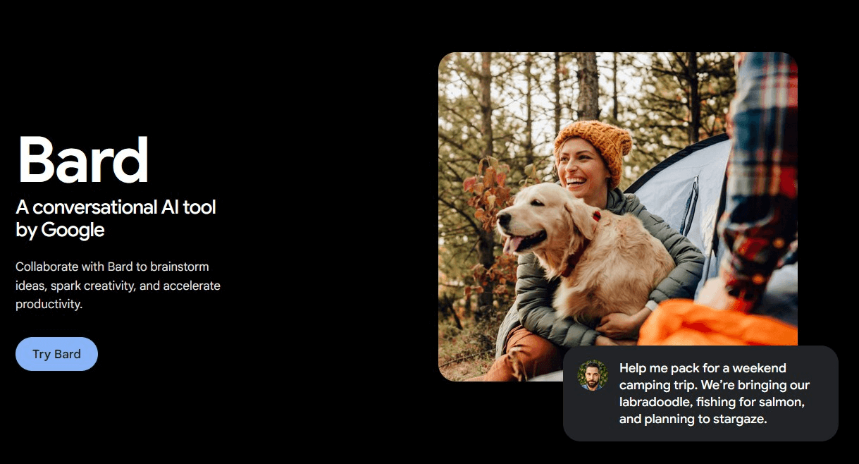 ai chatbot app google bard