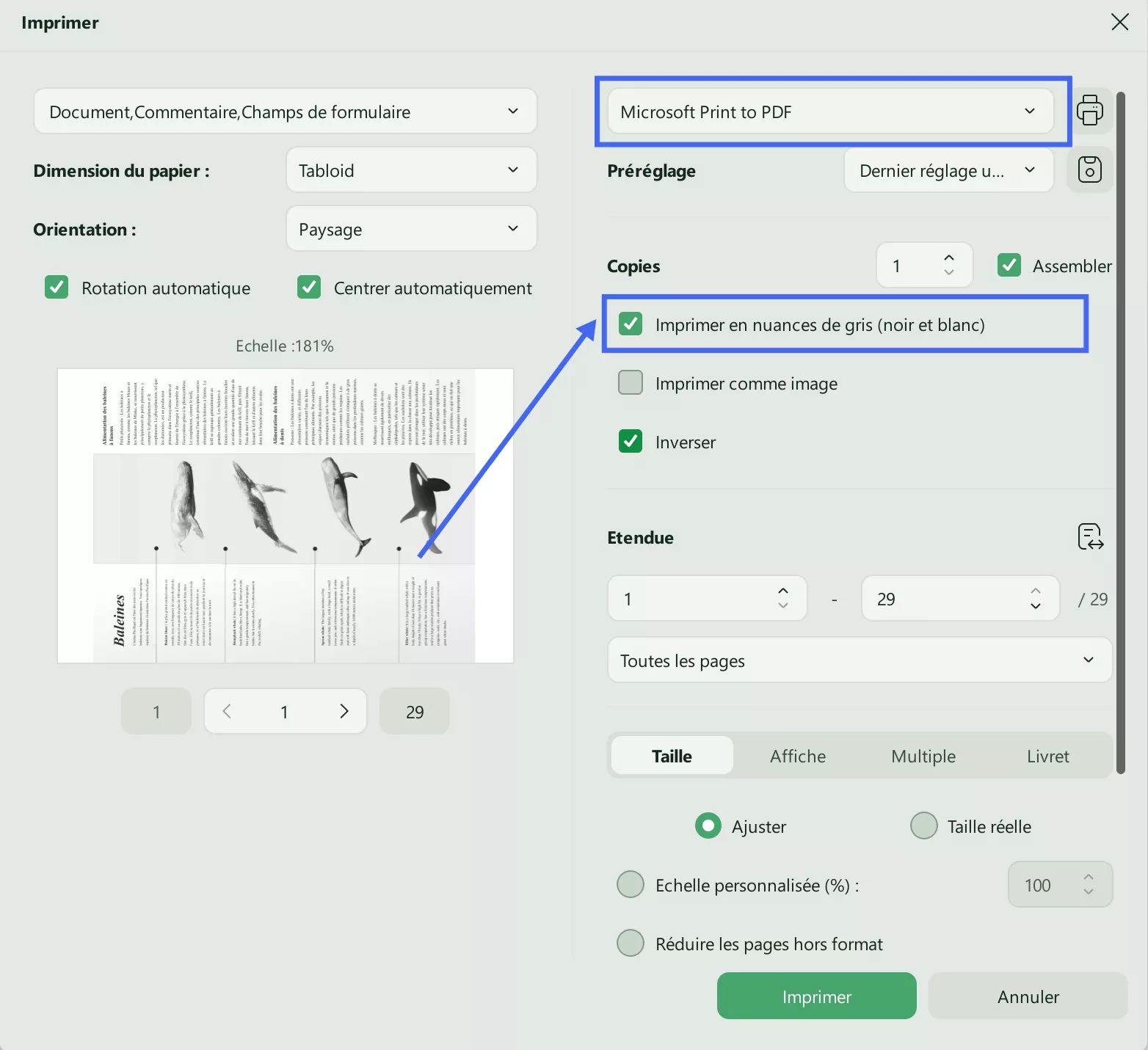 pdf en blanc et noir
