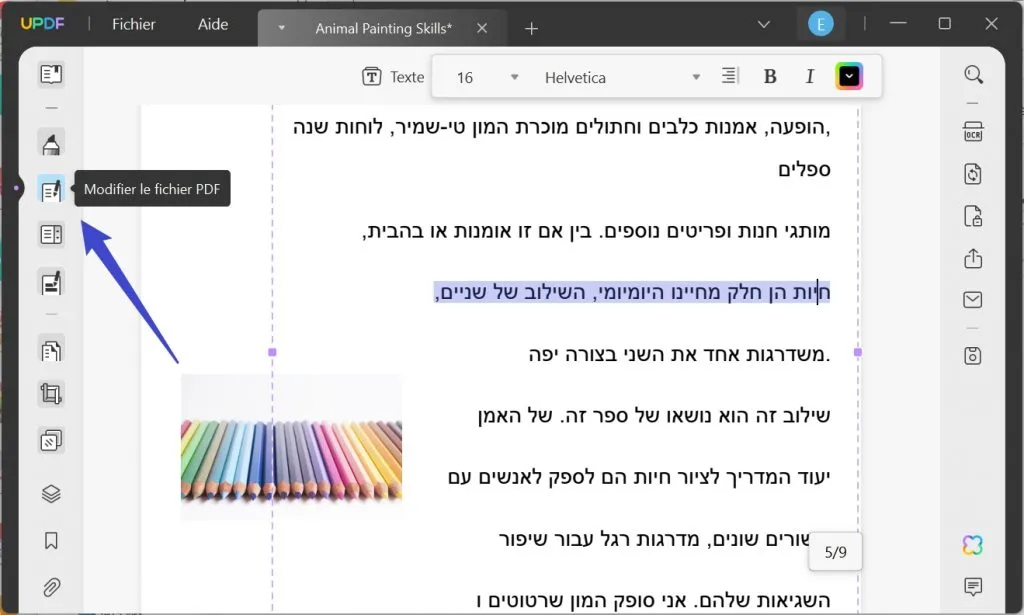 modifier pdf hébreu
