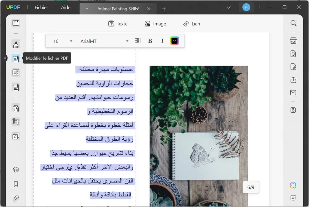 modifier du texte de pdf en arabe