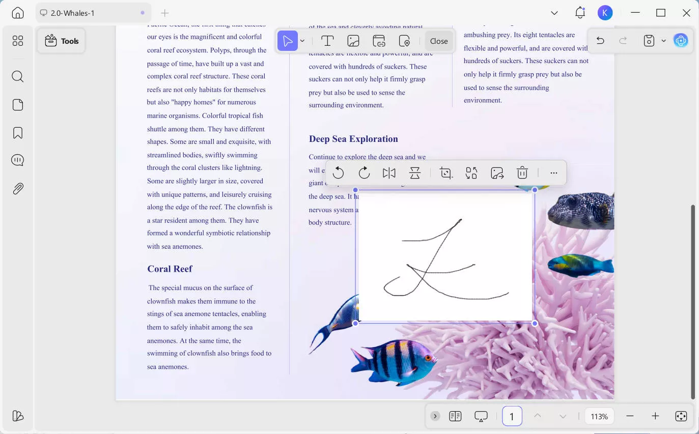 paste the signature image