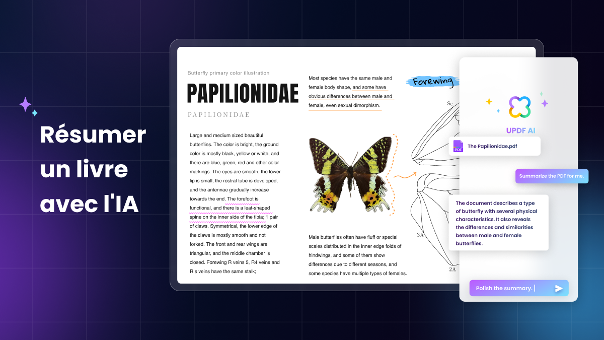 Comment r sumer un livre Guide - Resumer Livre Ai