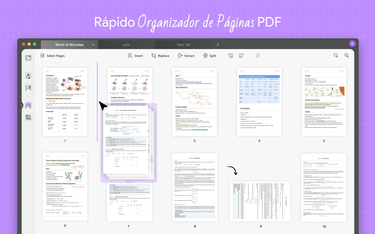 reorganizar paginas en pdf con updf
