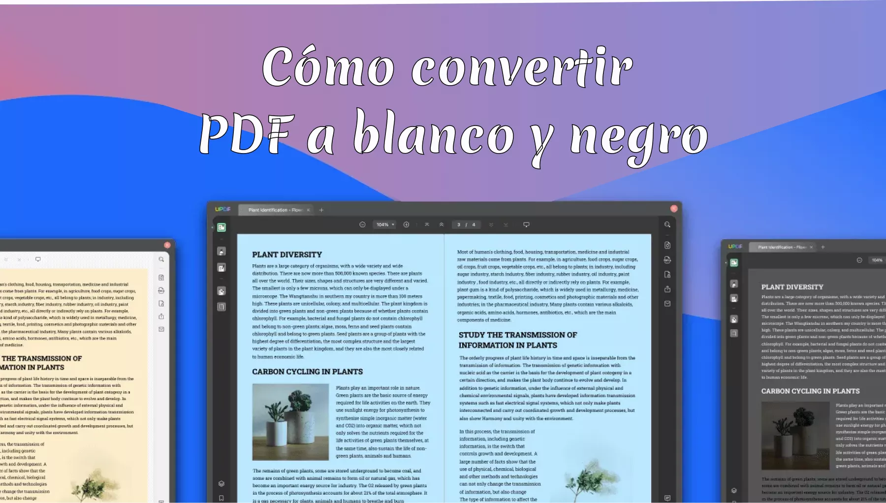 ¿Cómo convertir un PDF a blanco y negro? (3 métodos efectivos)