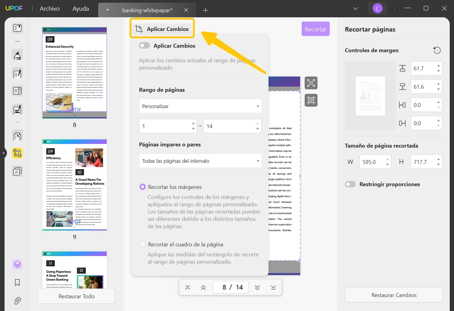 change paper size in pdf apply changes