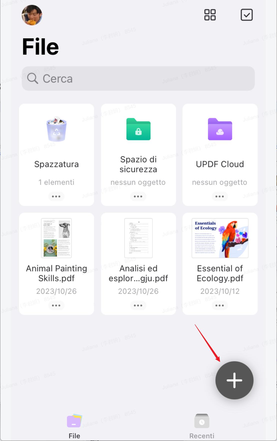 Riassumi PDF su Smartphone iOS
