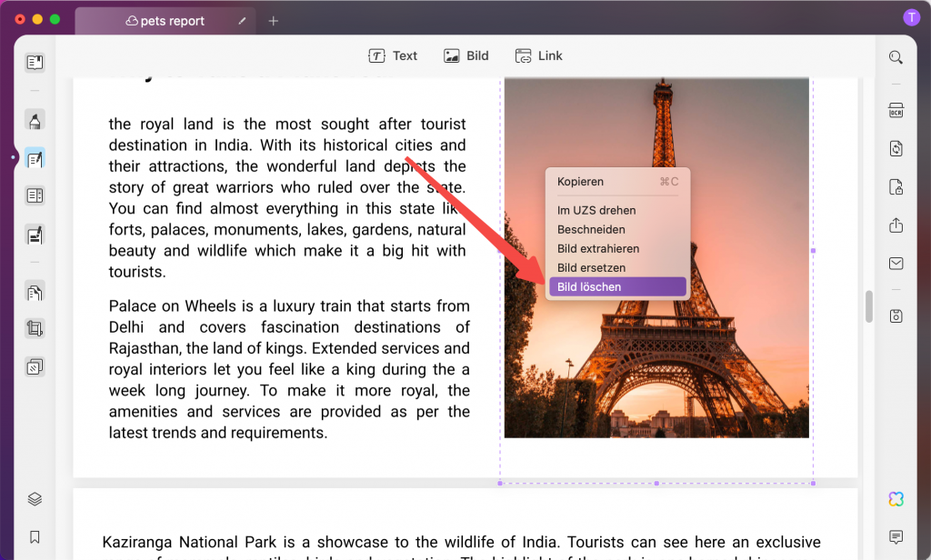 Bilder in PDF löschen mac