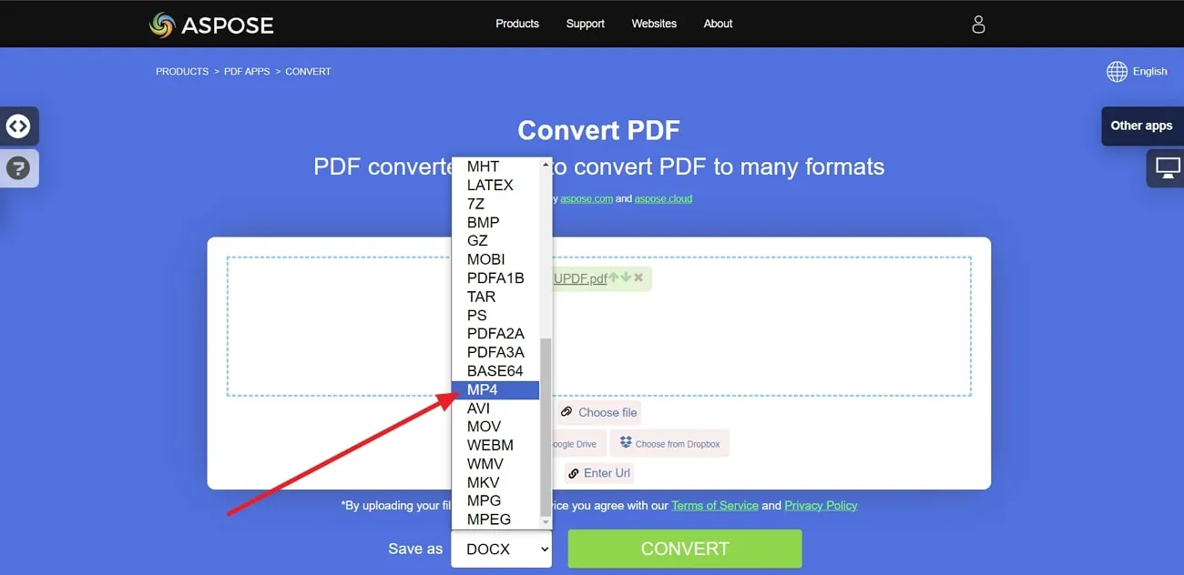 choose mp4 output format