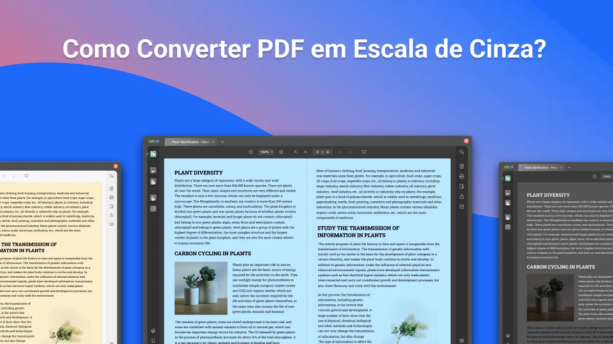 Como Converter PDF em Escala de Cinza? (3 Maneiras Eficazes)
