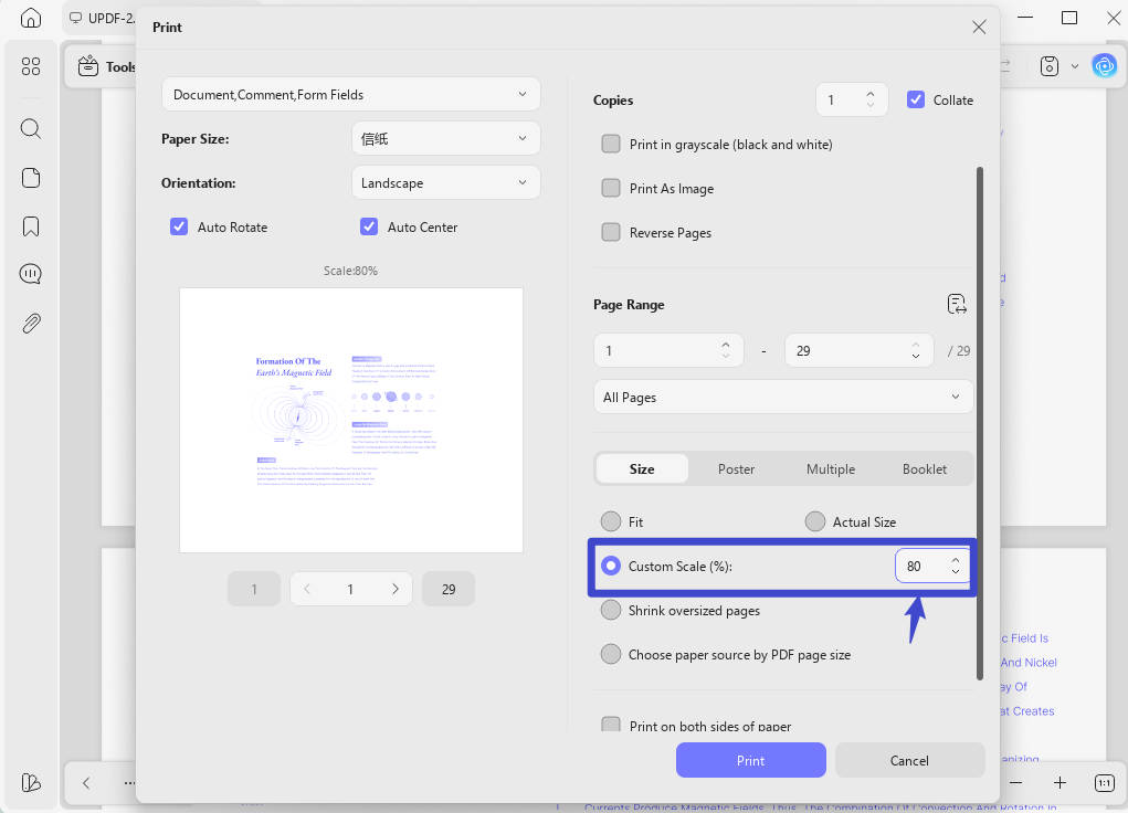how to print a zoomed in pdf output format