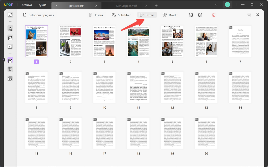 organizar paginas pdf