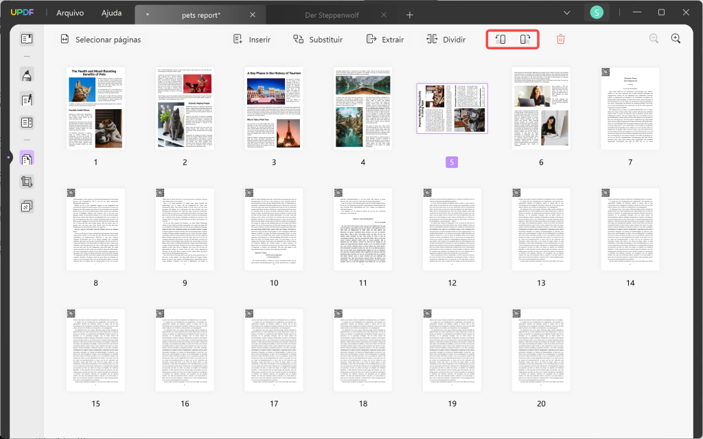 organizar paginas pdf