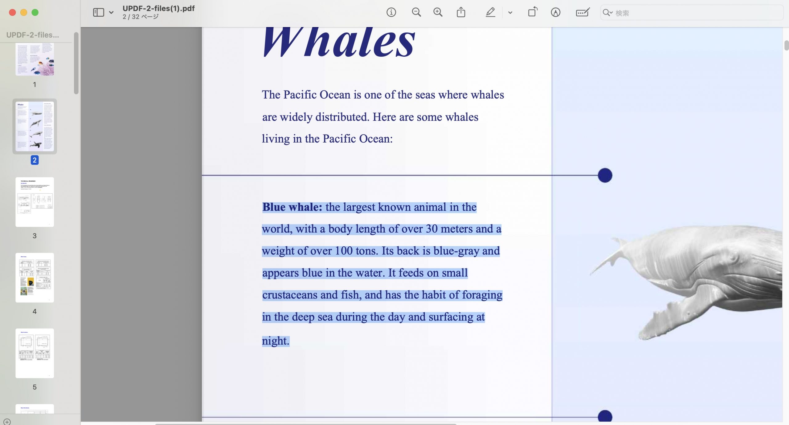 MacでPDFをWordに変換する　プレビュー