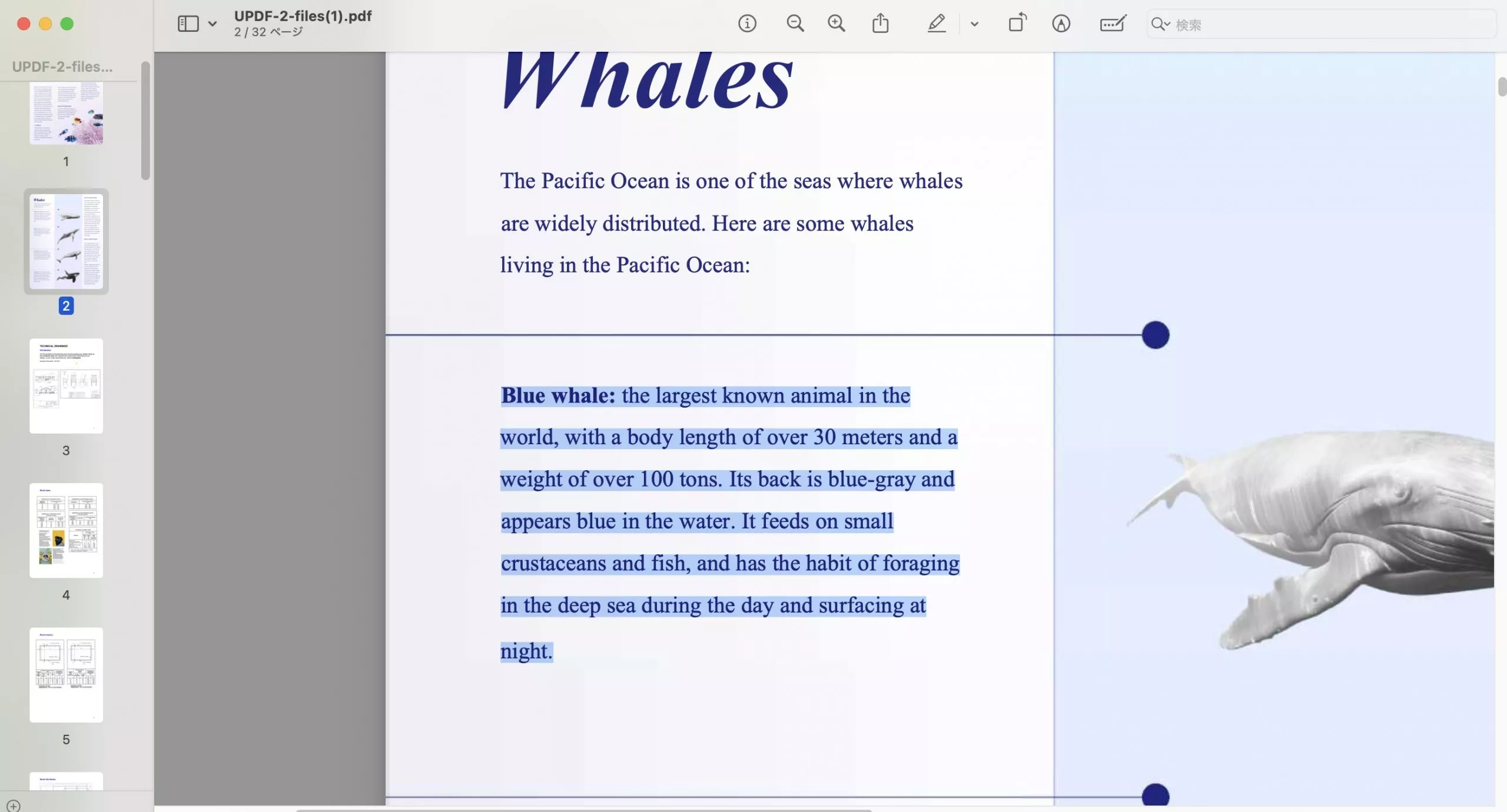 MacでPDFをWordに変換する プレビュー