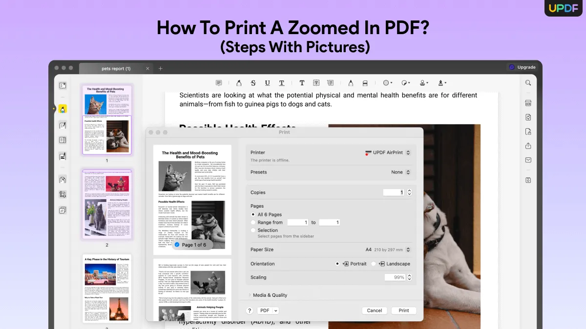 How to Print a Zoomed in PDF? (Steps with Pictures)