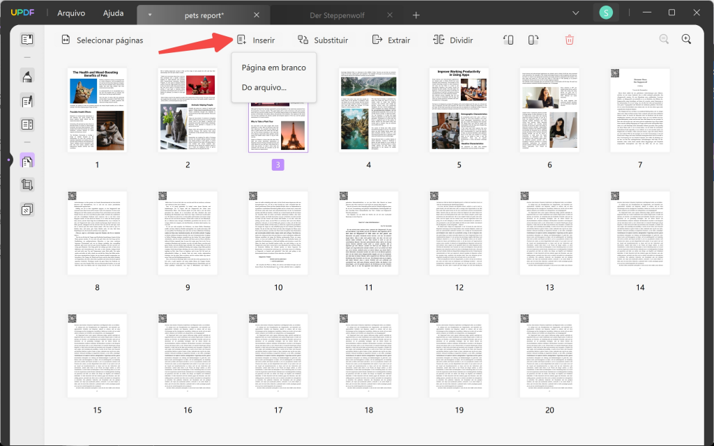 organizar paginas pdf