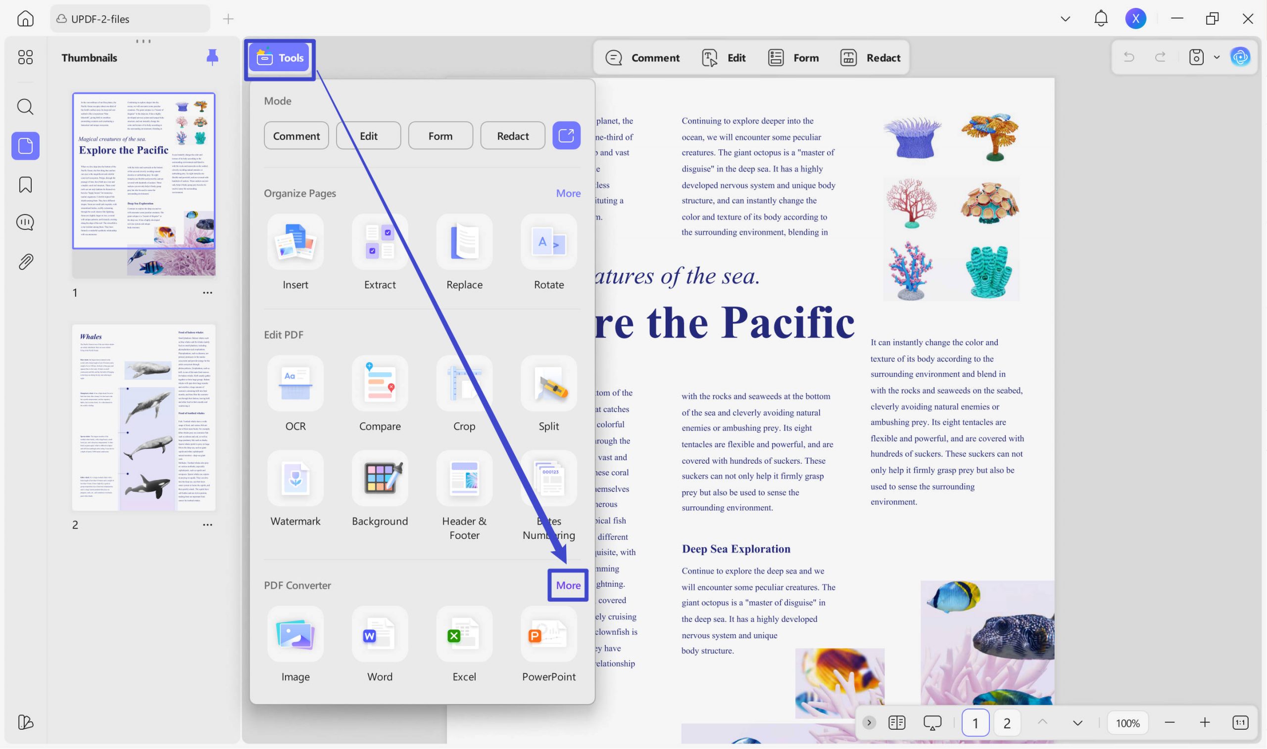 convert pdf to text