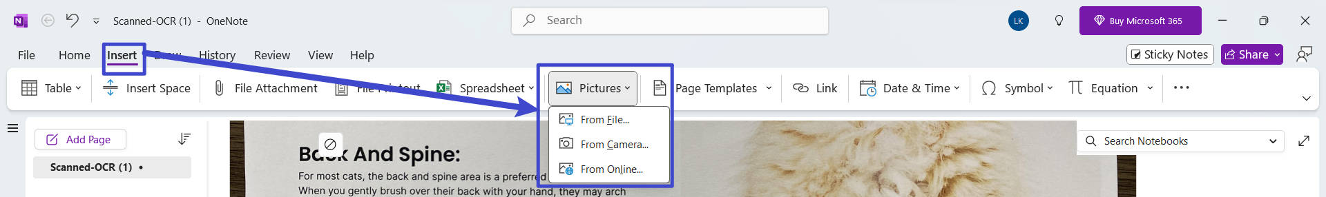 onenote open image