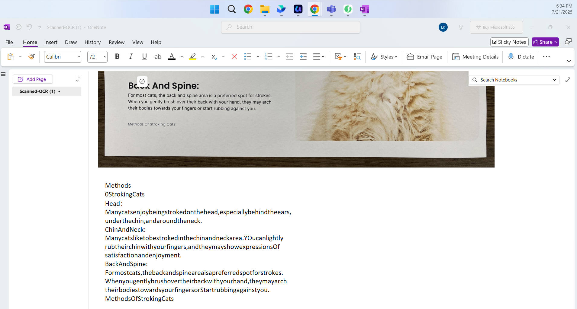 onenote paste text