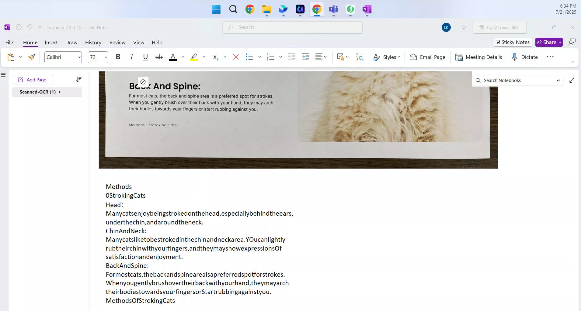onenote paste text