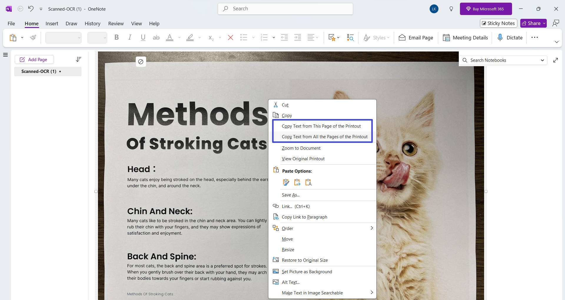 onenote select content