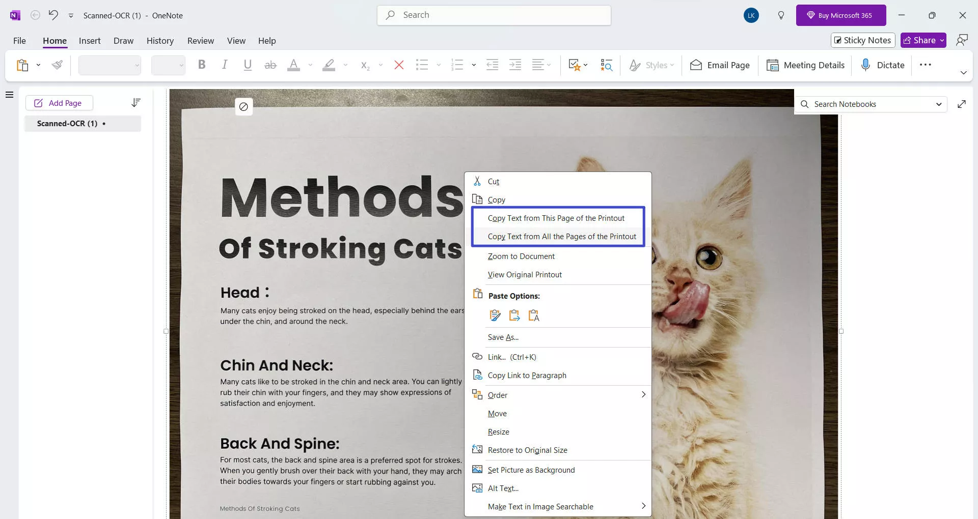 onenote select content