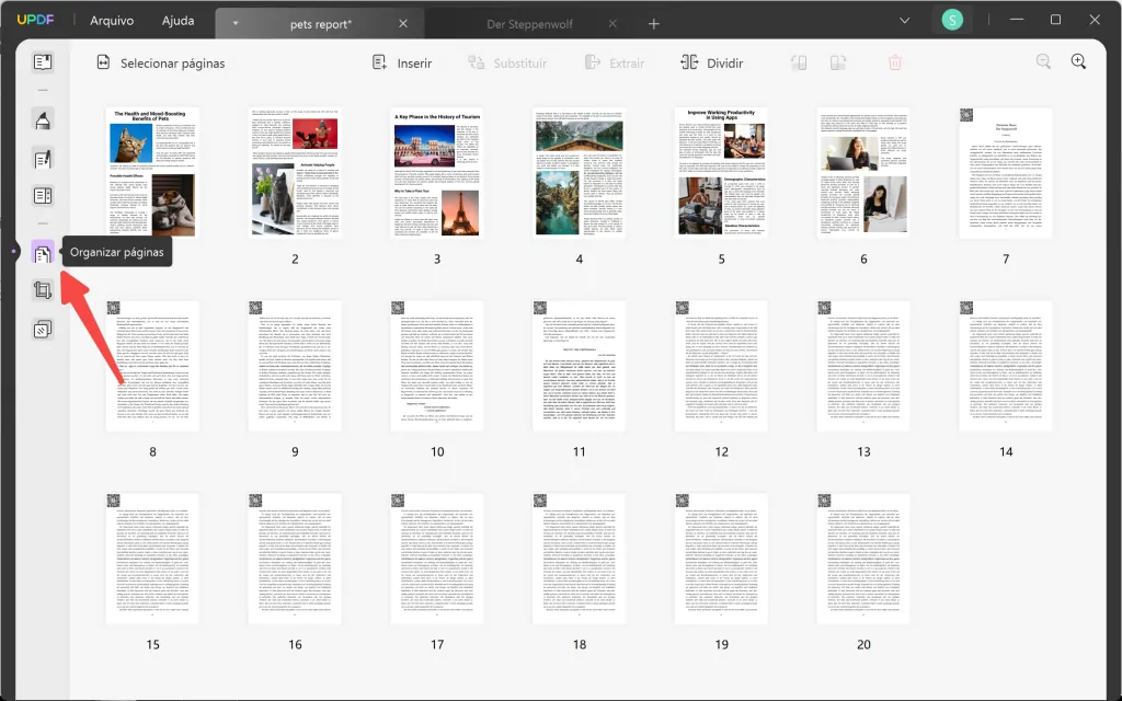 organizar paginas pdf