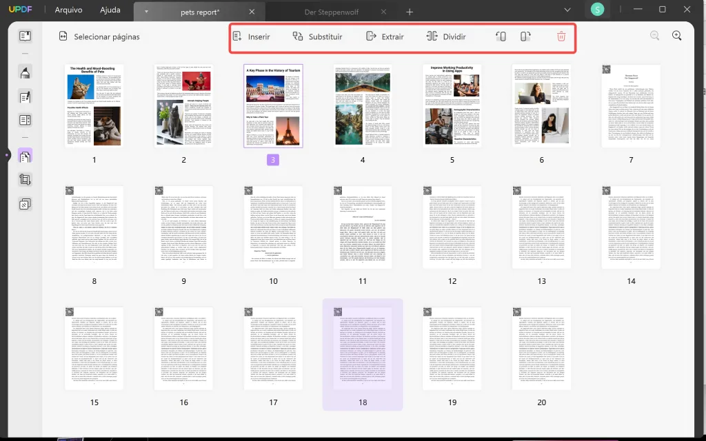 organizar paginas pdf