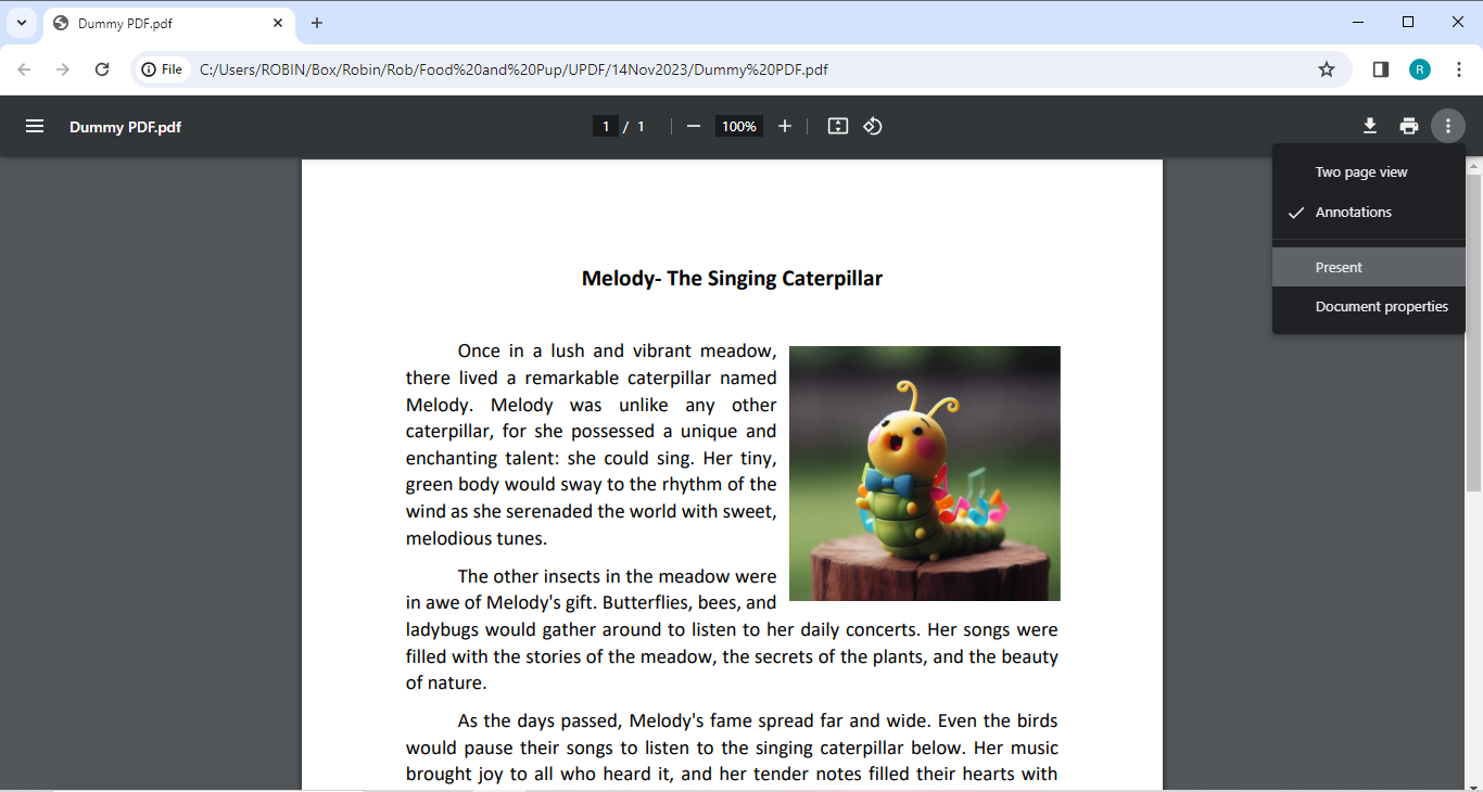 PDF im Vollbildmodus in Chrome anzeigen