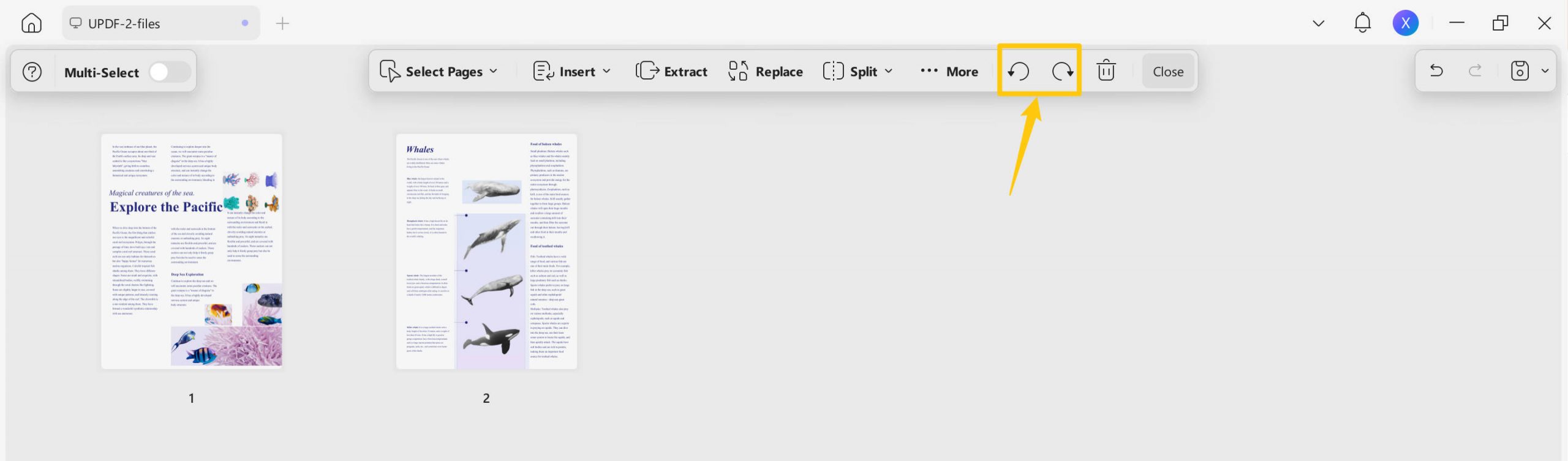 rotate text pdf rotate pages
