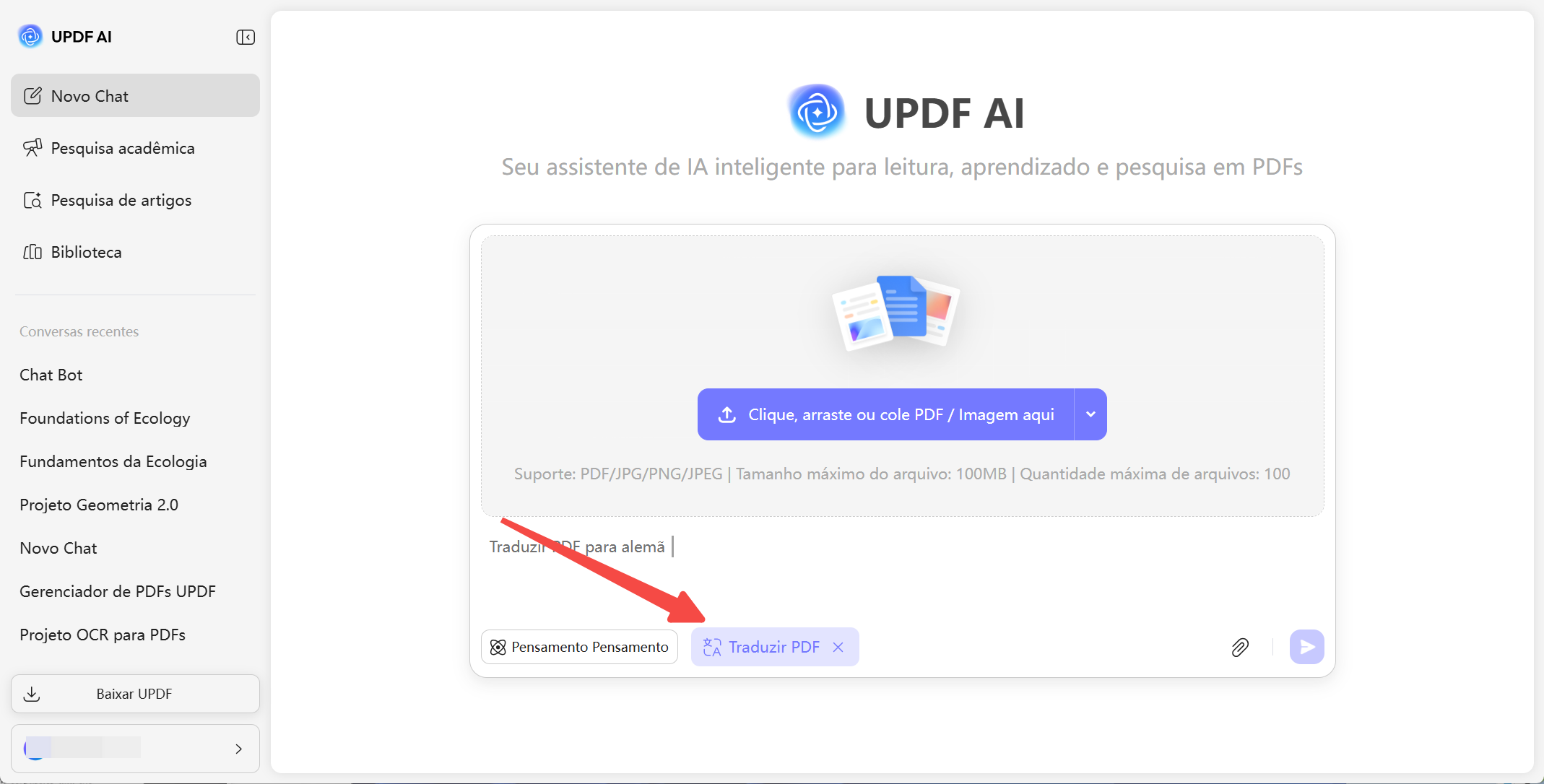 traduzir pdf