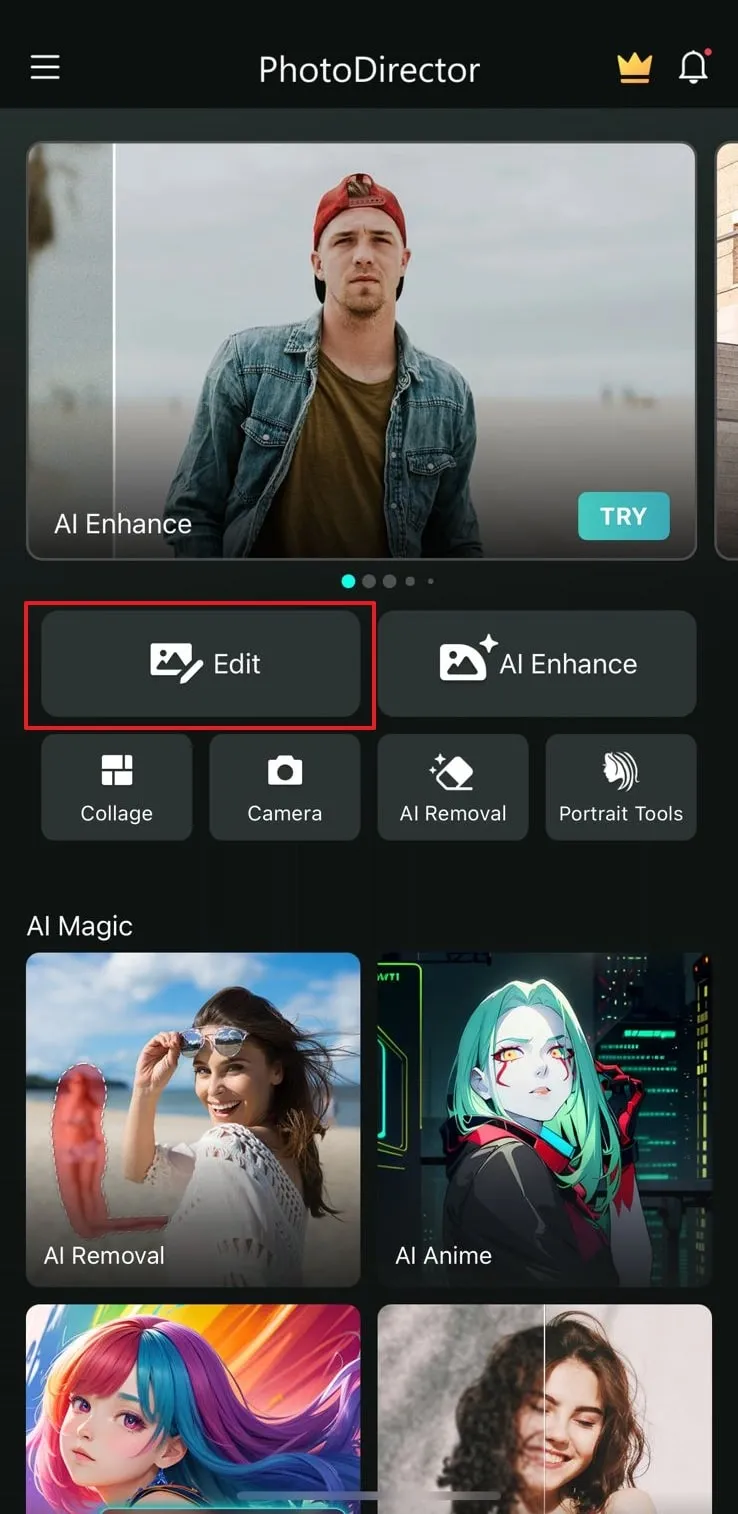 PhotoDirector  Instantly Turn Your Face Into an Anime Face