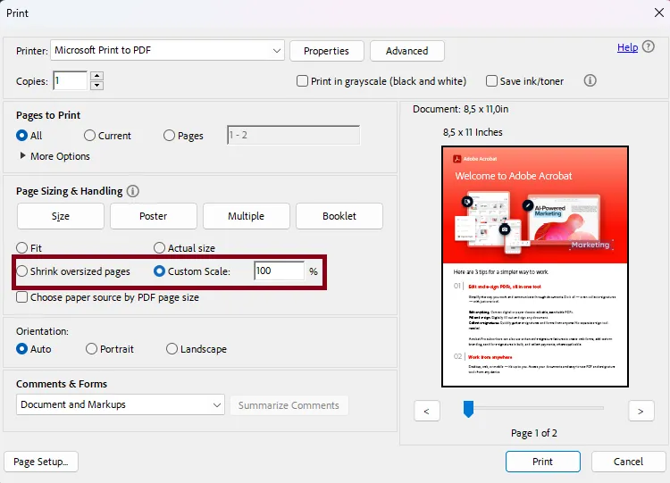 how to print a zoomed in pdf print settings