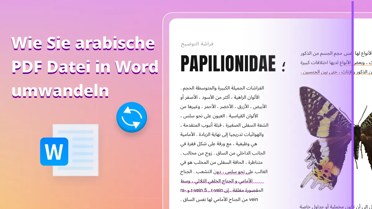 Wie Sie arabische PDF Datei blitzschnell und ohne Formatverlust in Word umwandeln
