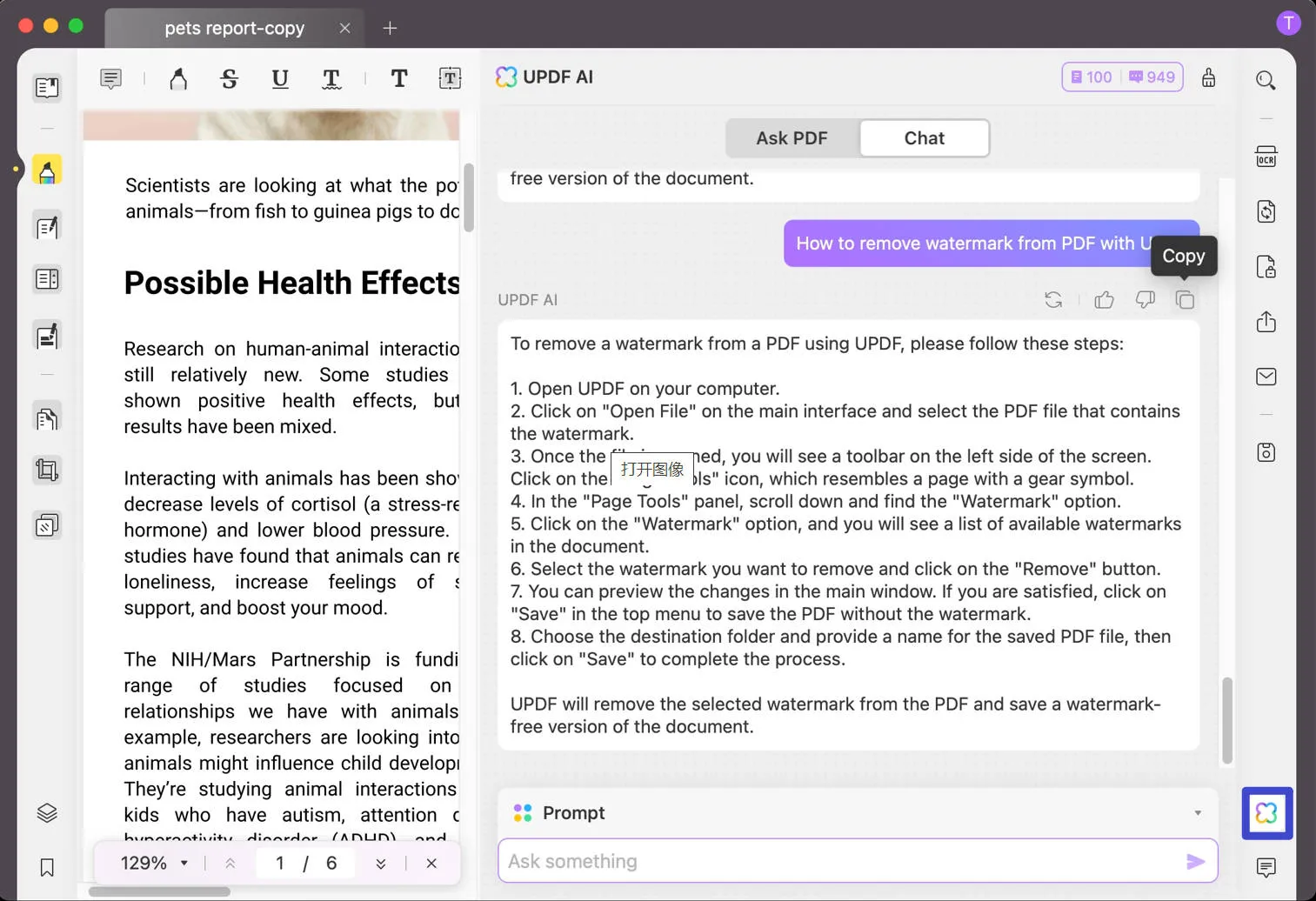 pdf水印去除器ai在聊天模式下詢問