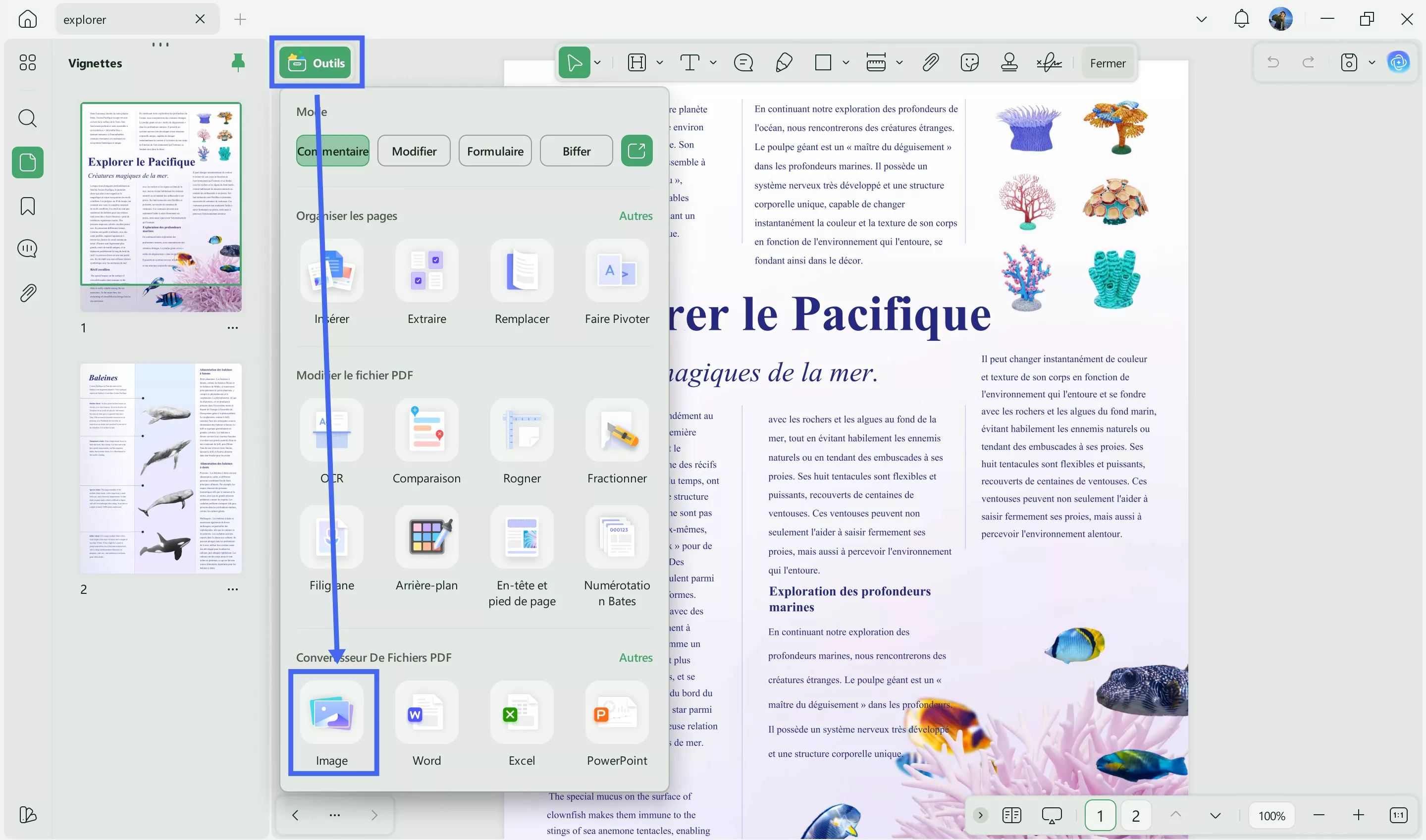 convertir pdf en image