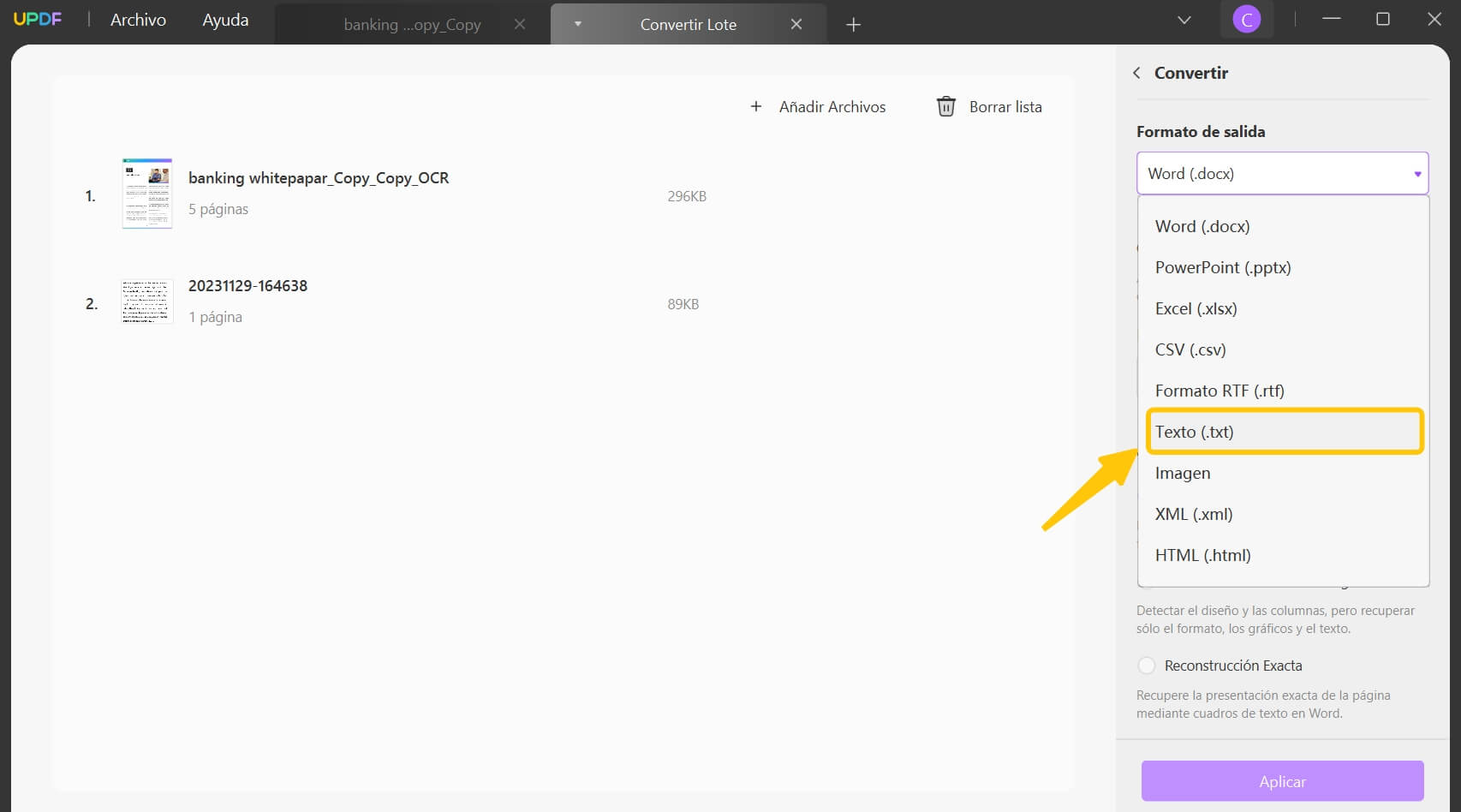 convert pdf to text ai