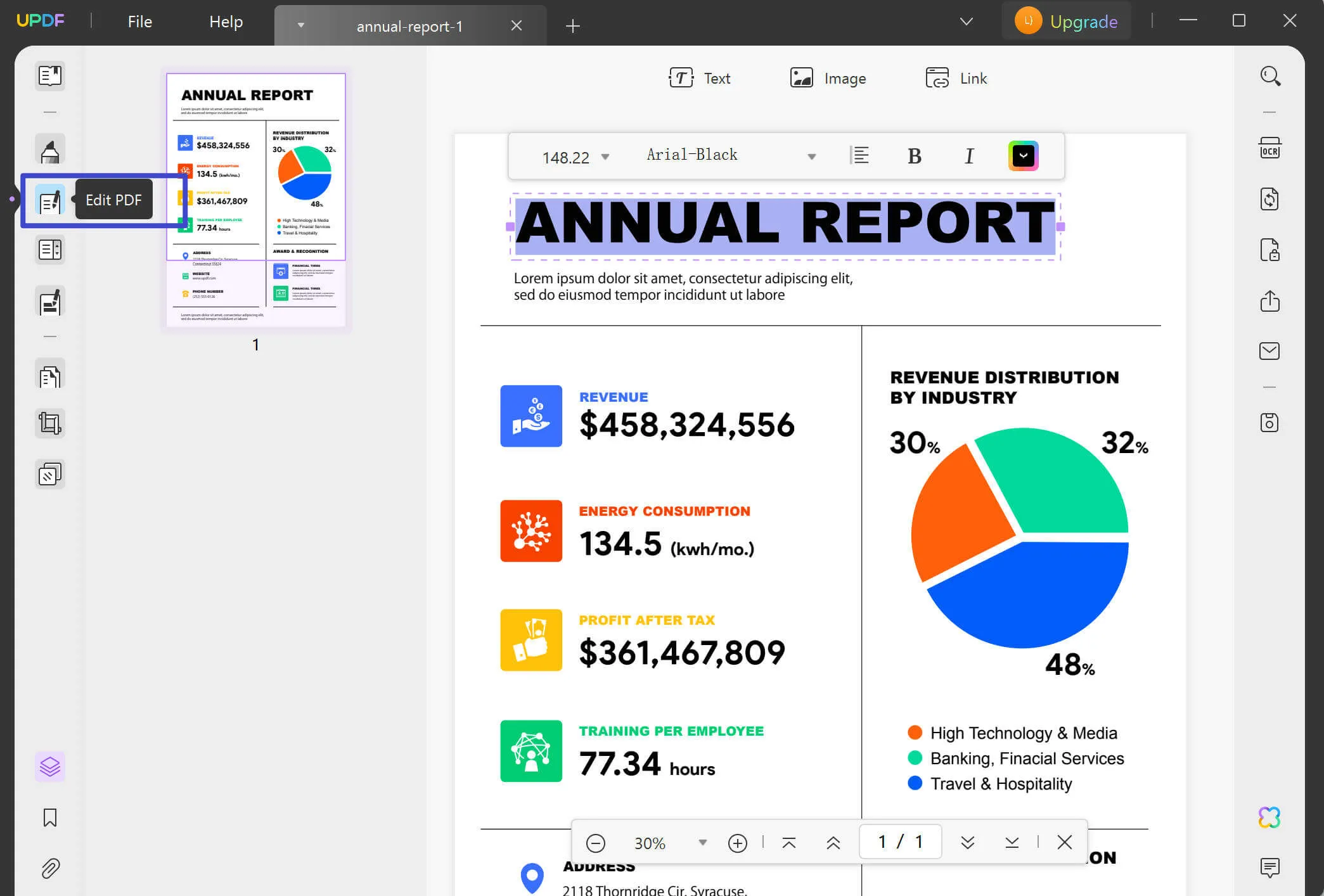 annual report template edit 