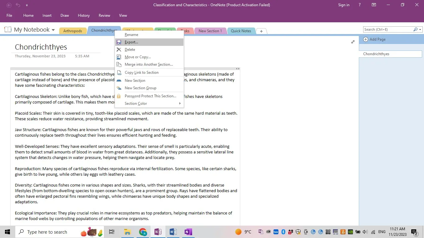 OneNote in PDF exportieren Exportieren