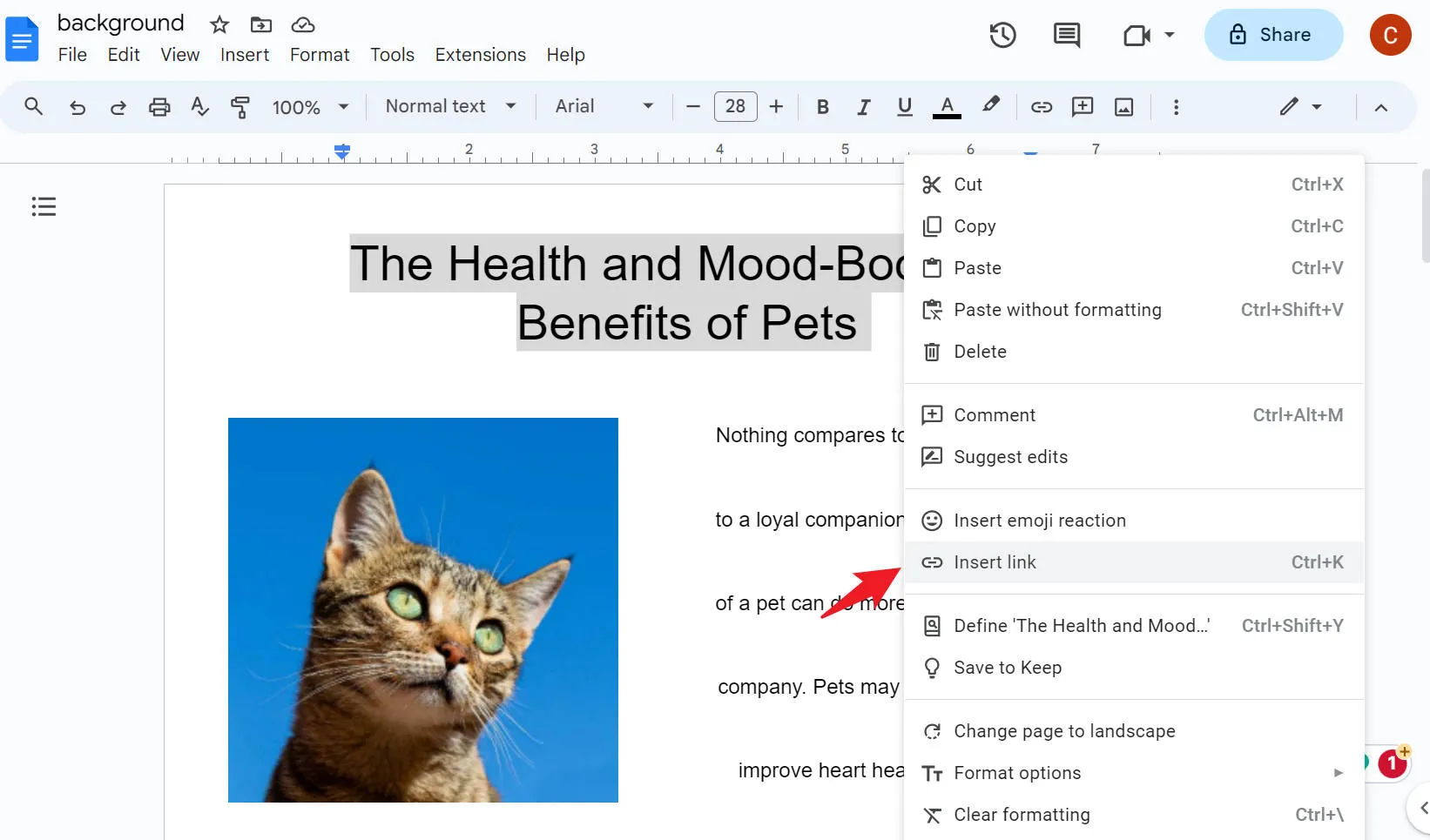 إضافة رابط إلى pdf عبر الإنترنت google doc