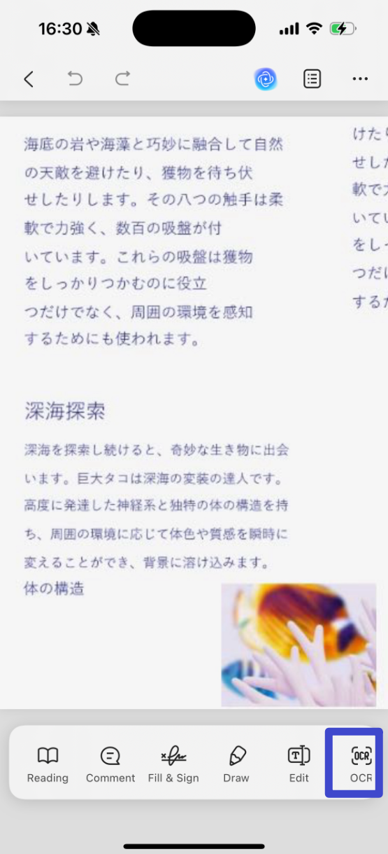Click "OCR"