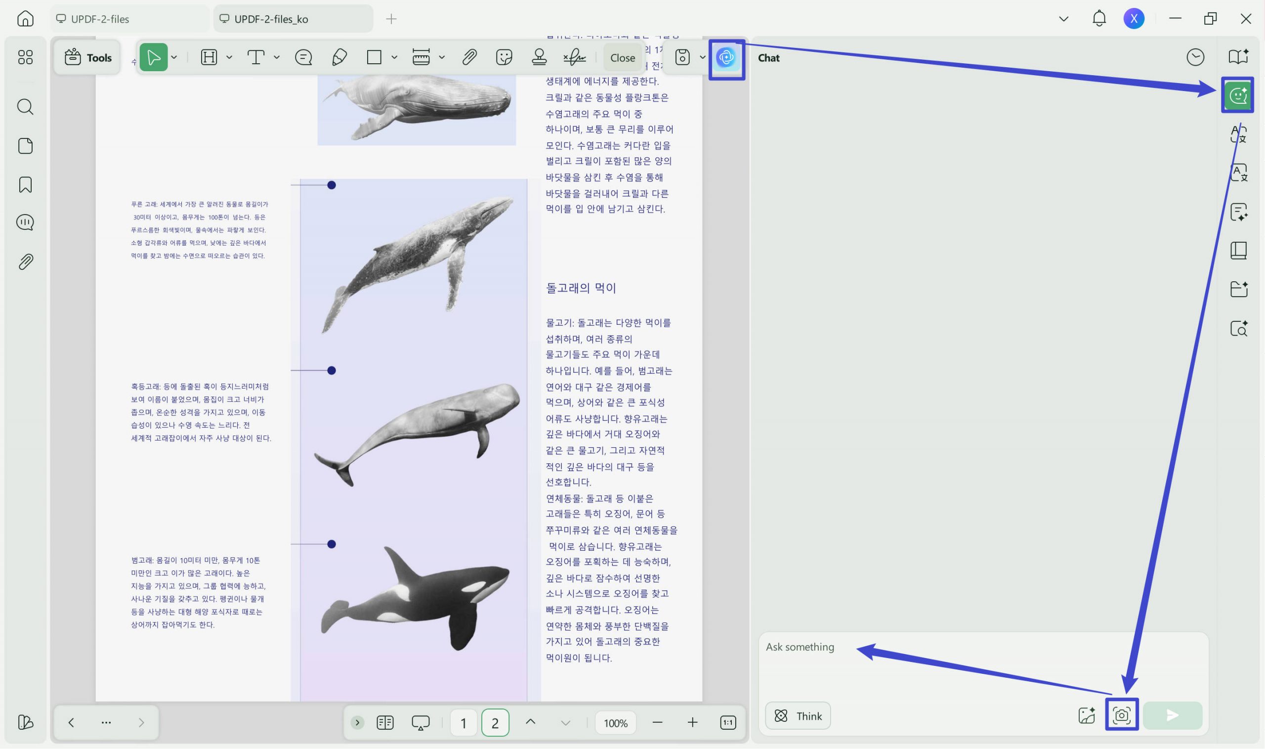 Screenshot to translate the text in the image with updf ai
