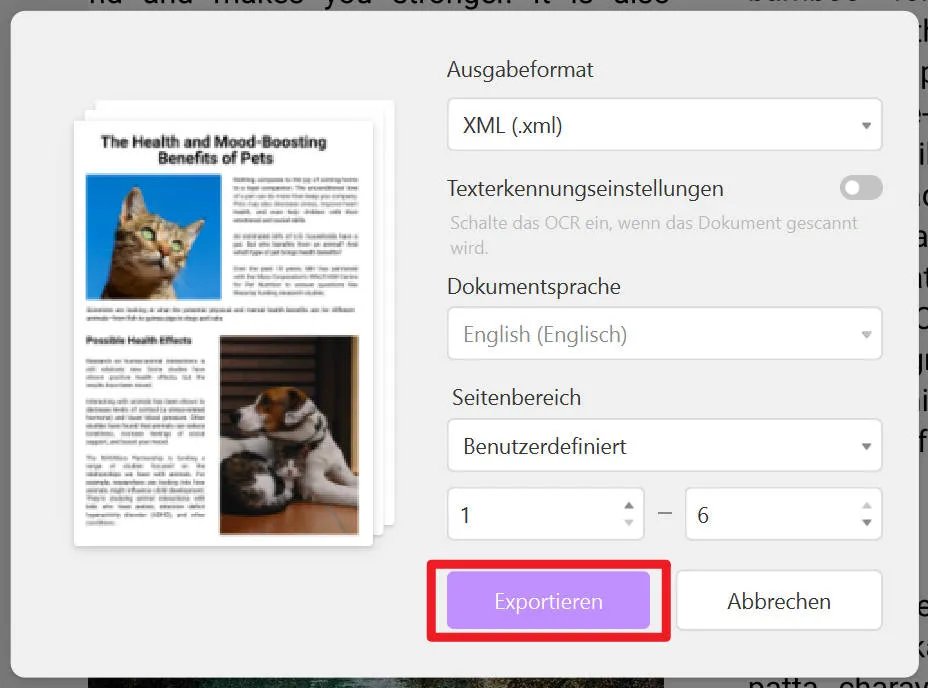 PDF in xml Einstellugen