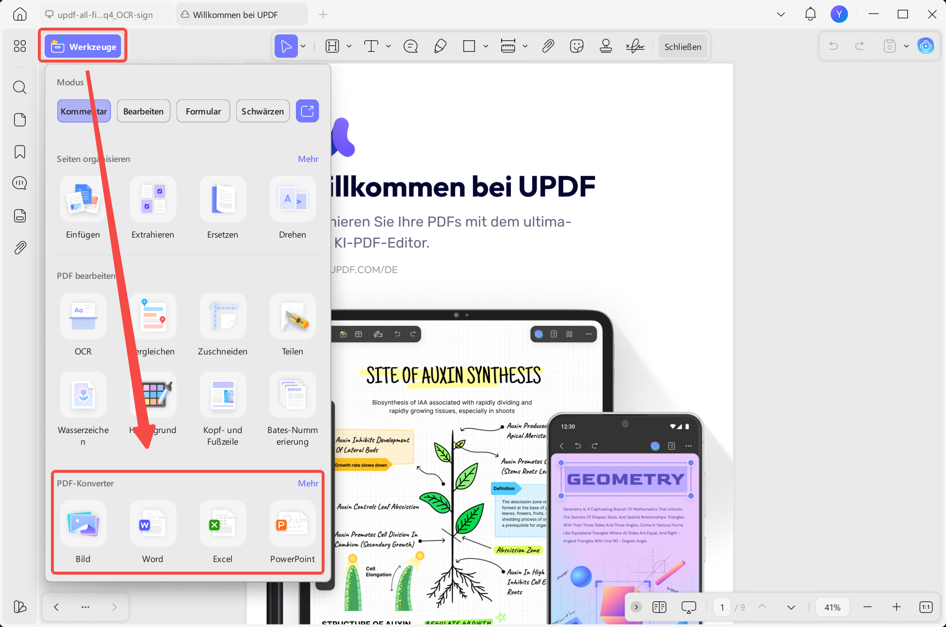 PDF-Datei umwandeln