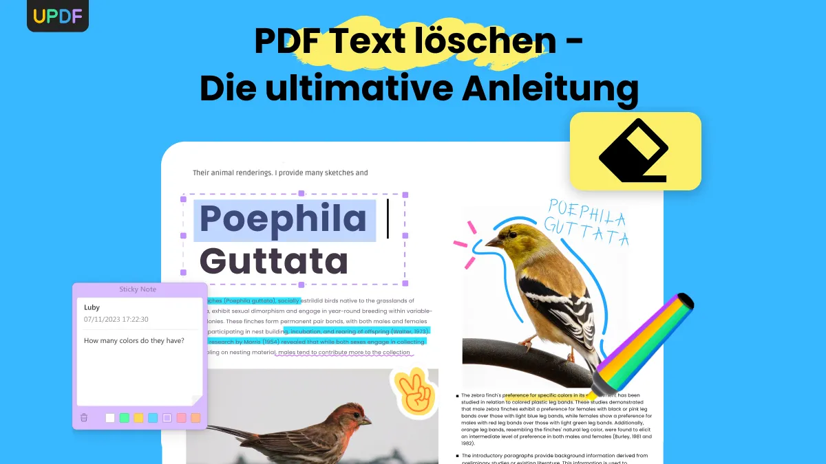 PDF Text löschen - Hier ist die ultimative Anleitung