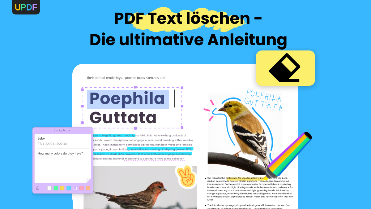 Wie Sie PDF Text löschen? SchrittfürSchrittAnleitung UPDF