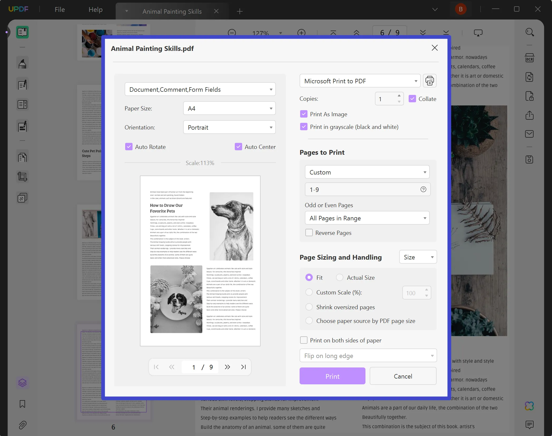 Adobe does not print print preference