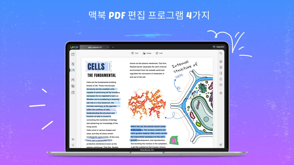 맥북에서 PDF 편집 가능한 소프트웨어 4가지