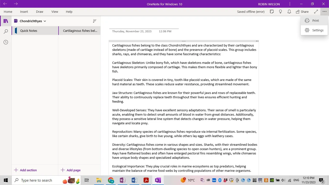 export OneNote to PDF printing